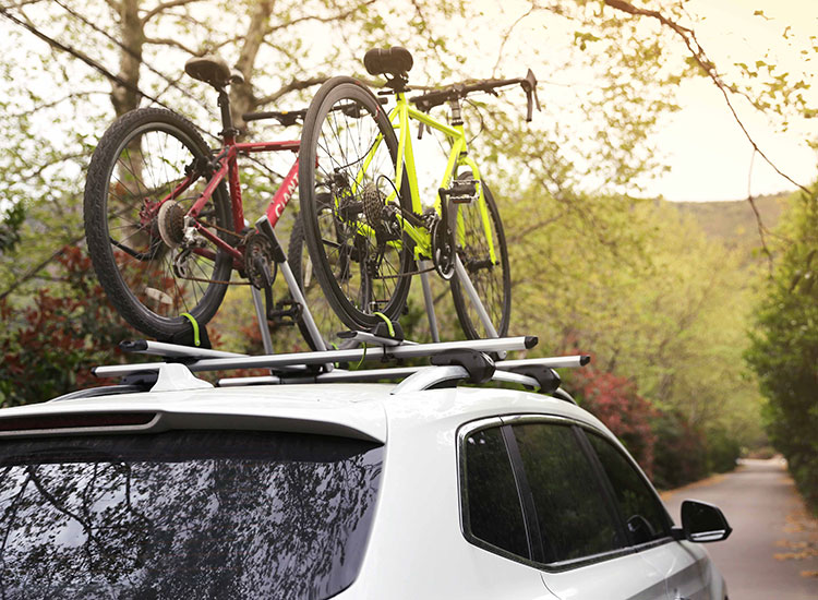 Roof Bike Rack